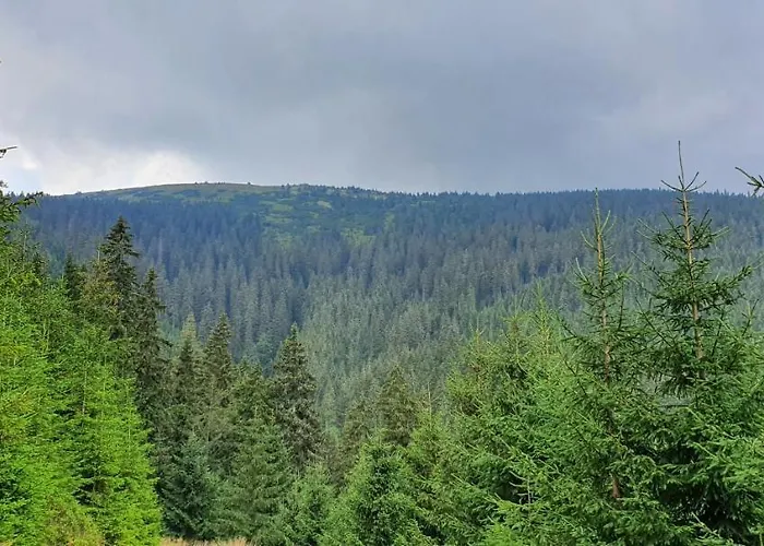 Uspokoj Ducha - Adults Only 3* Stara Morawa